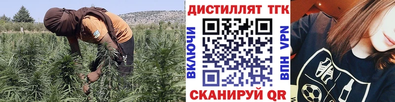 Дистиллят ТГК вейп Правдинск